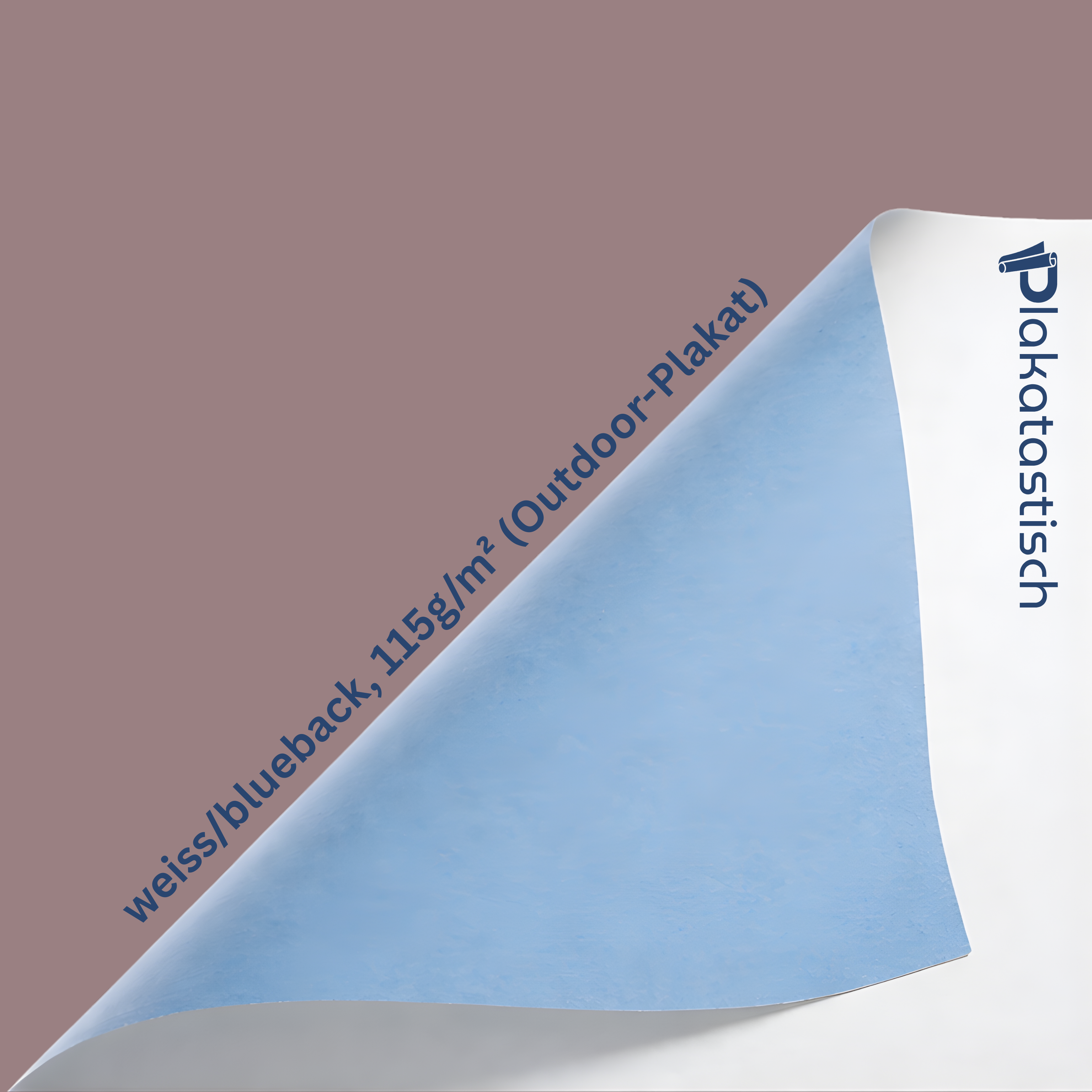 Poster A3 (29.7 cm x 42.0 cm)