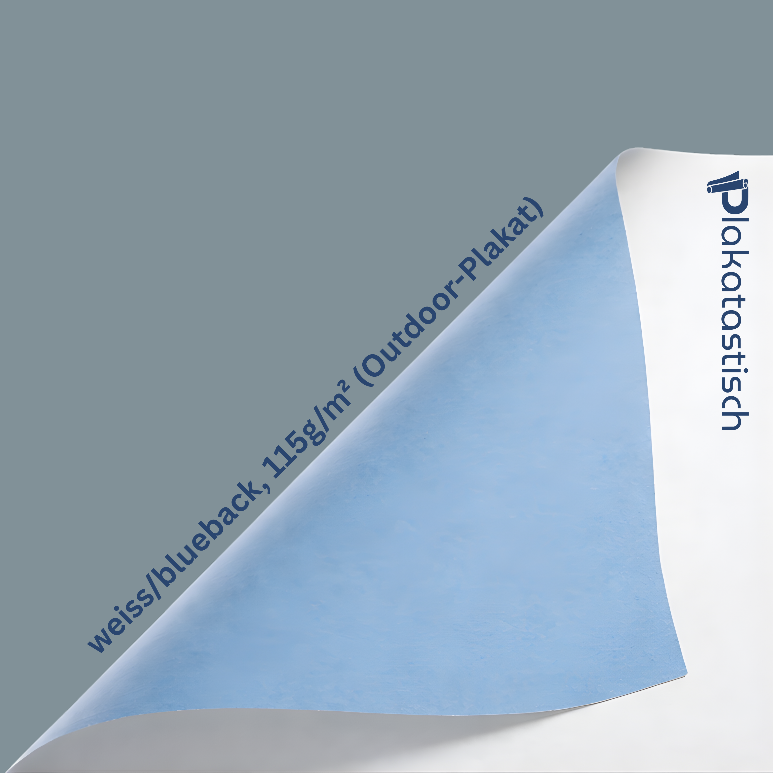 Poster B1 (70.0 cm x 100.0 cm)