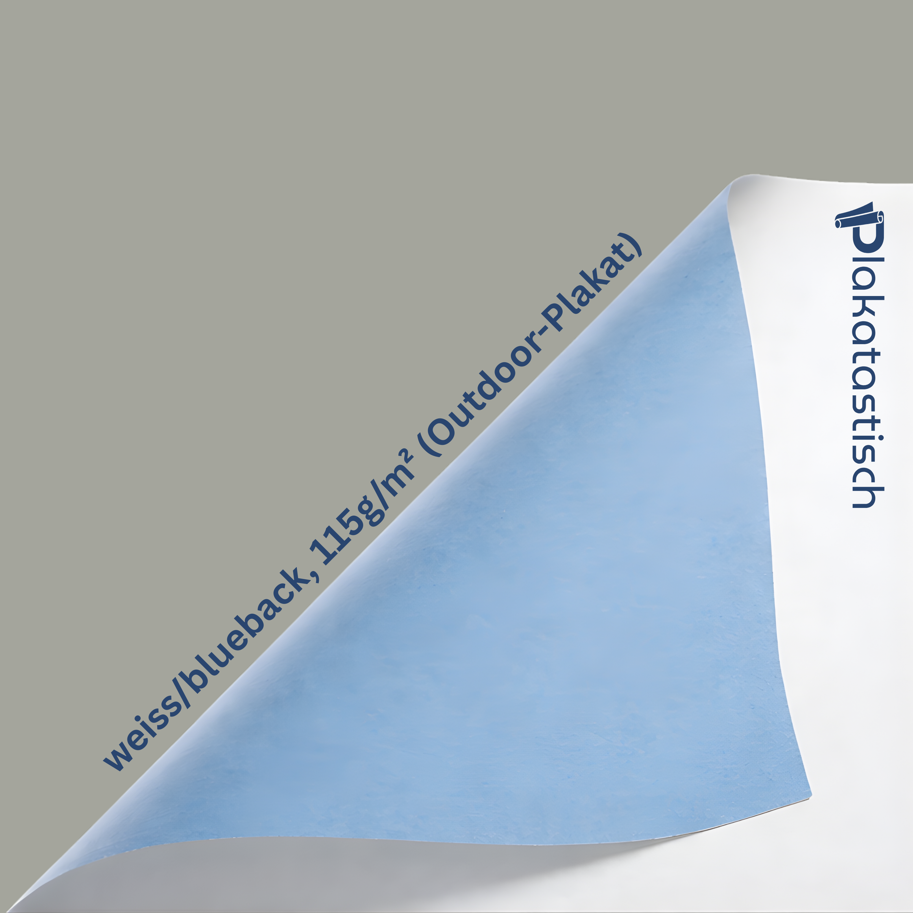 Poster A4 (21.0 cm x 29.7 cm)