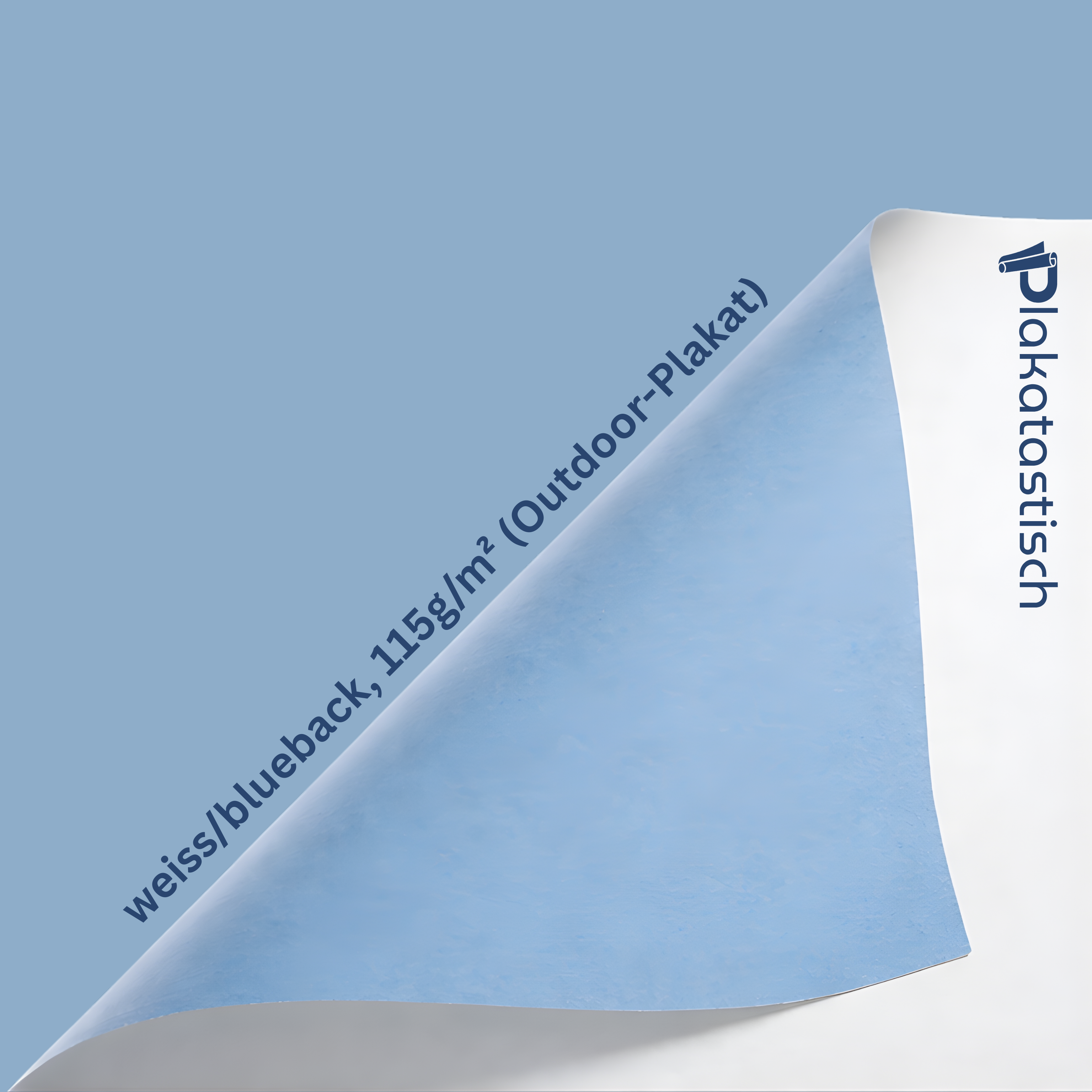 Poster A1 (59.4 cm x 84.1 cm)