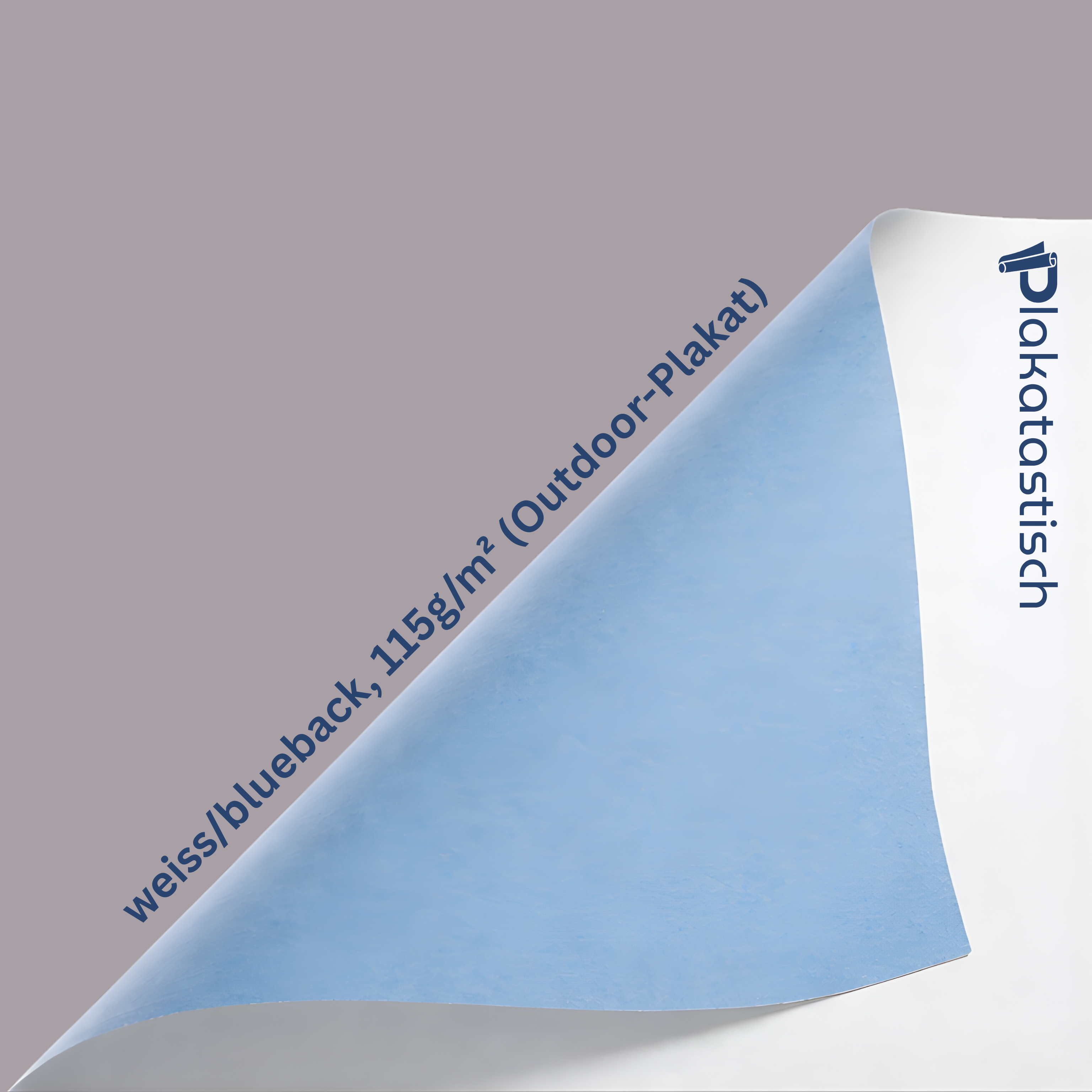 Poster B2 (50.0 cm x 70.0 cm)